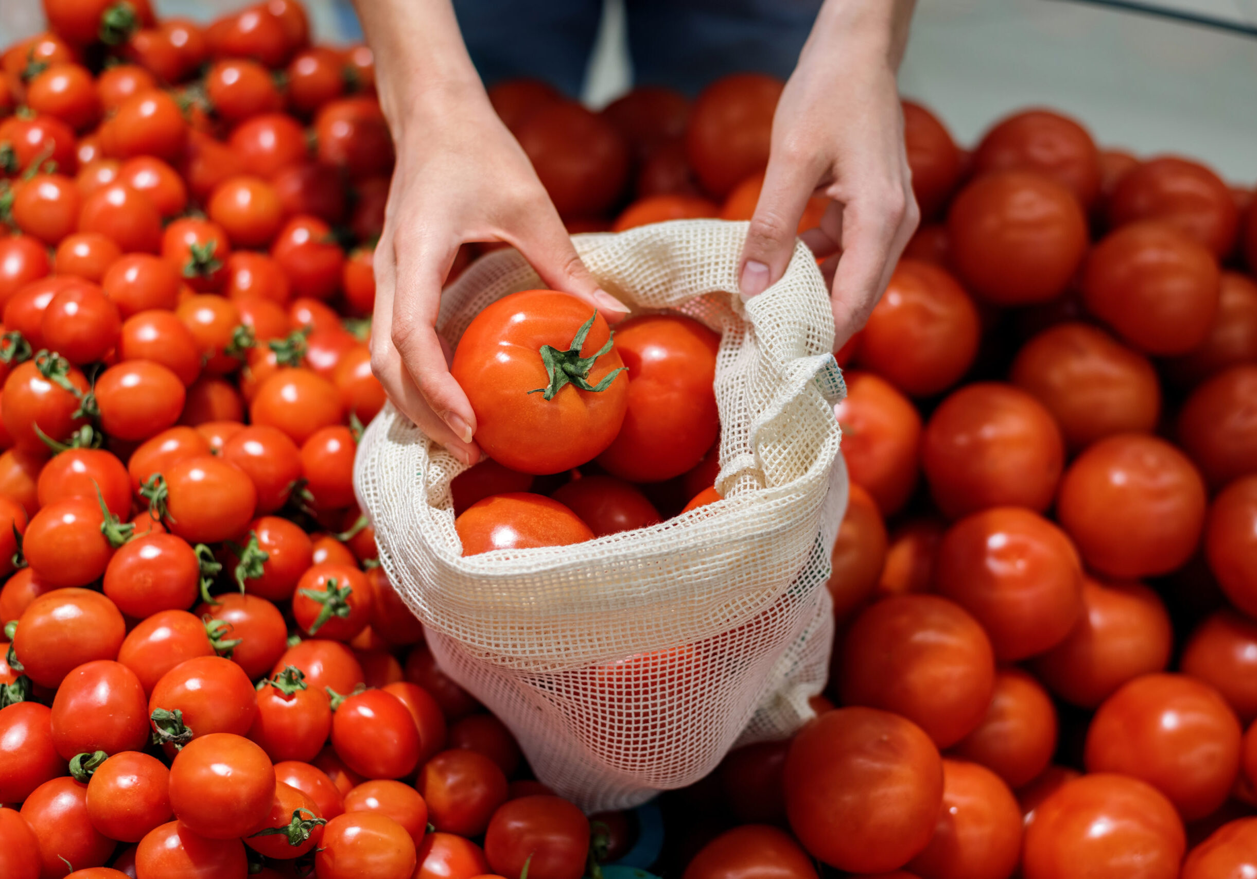 Woman picking tomatoes in a reusable bag in a store. Ecology and Earth Day thematics